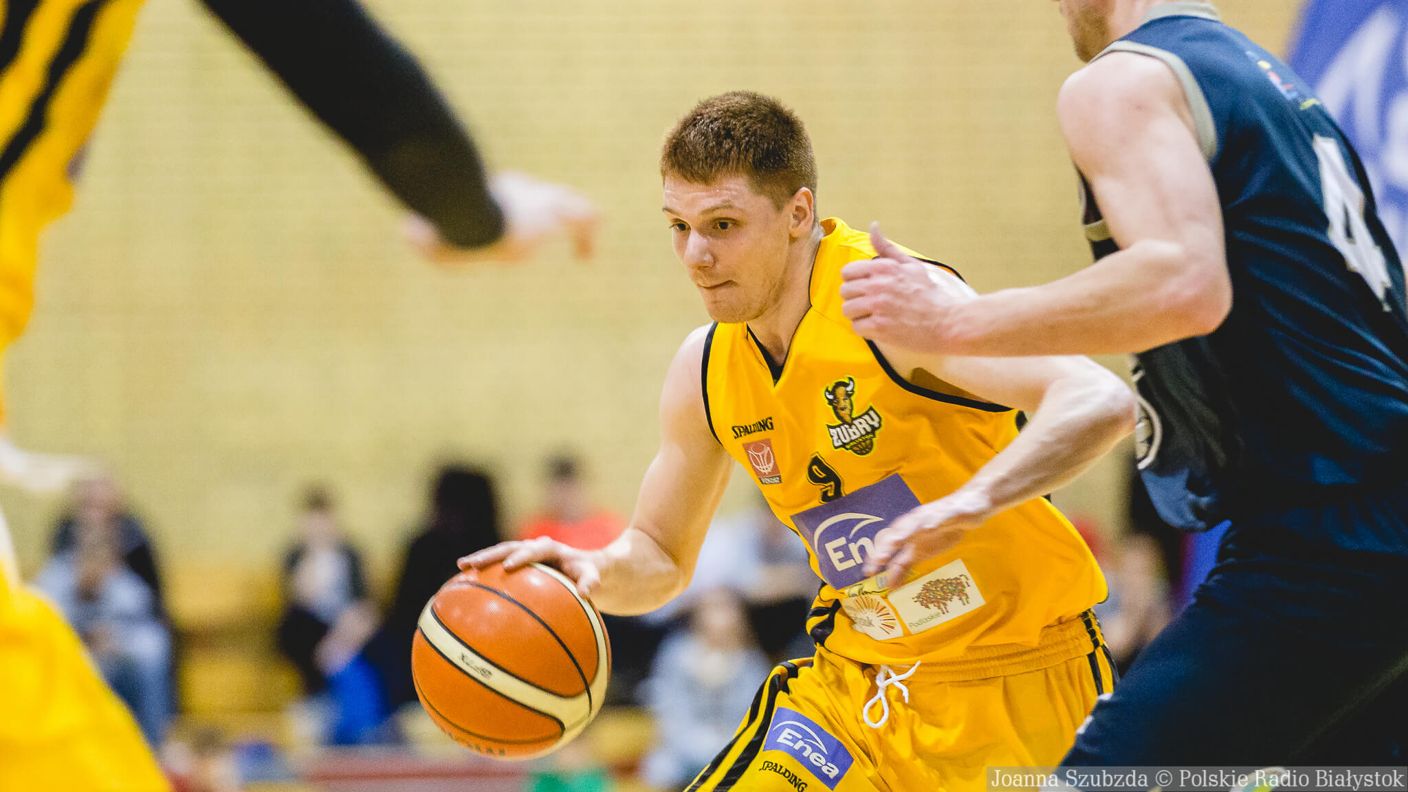Po zaciętej walce Żubry Białystok pokonały Dziki z Warszawy [zdjęcia]