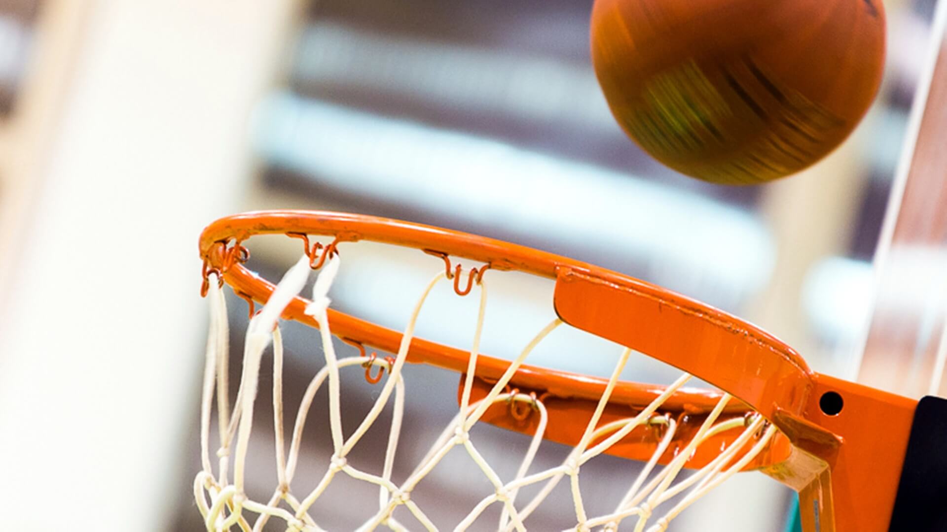 Sportowcy wzywają do solidarności ze skazaną na areszt koszykarką
