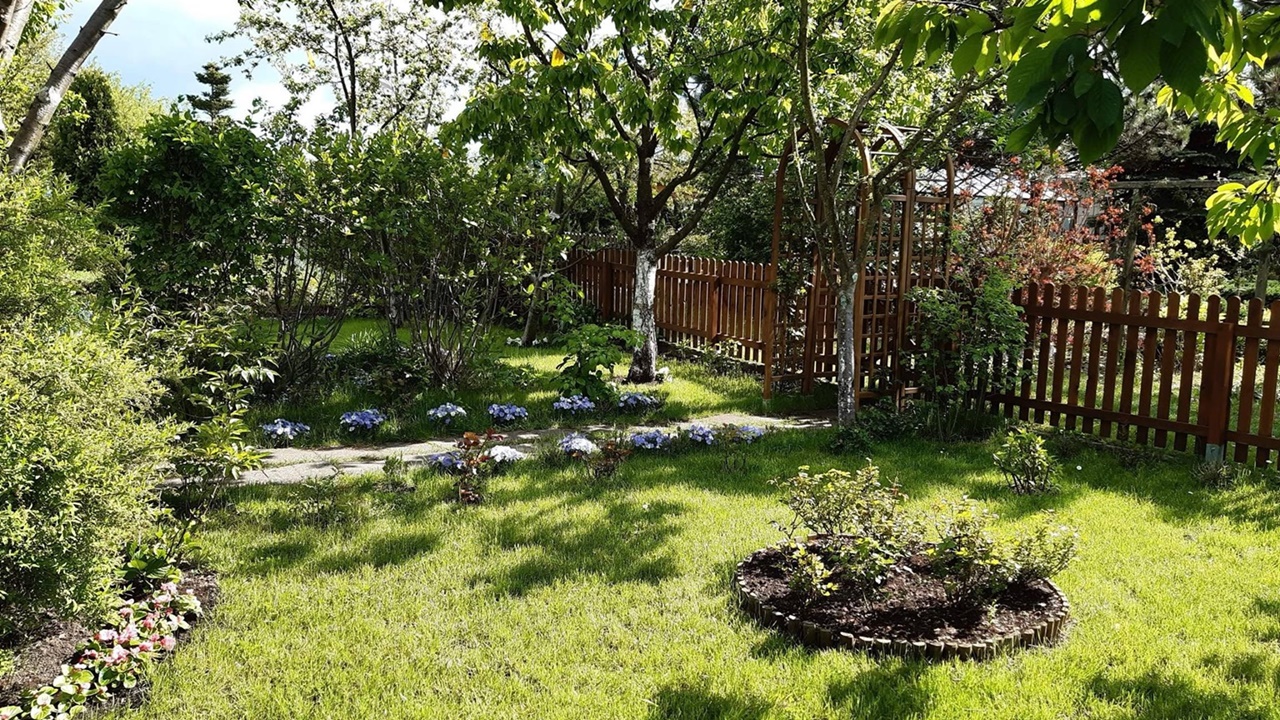 "Planetka ziemia" - reportaż Doroty Sokołowskiej