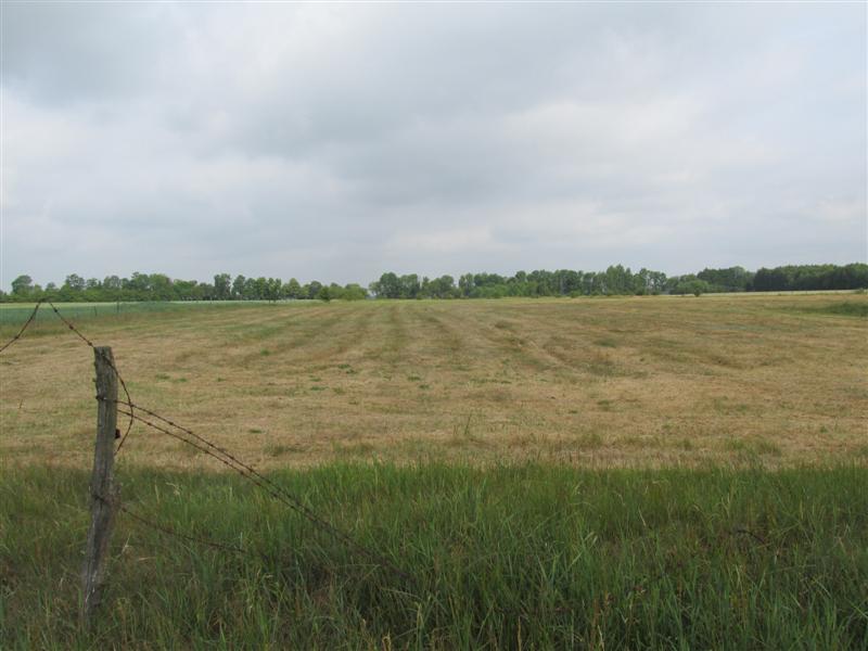 Susza na Podlasiu 13.06.2018