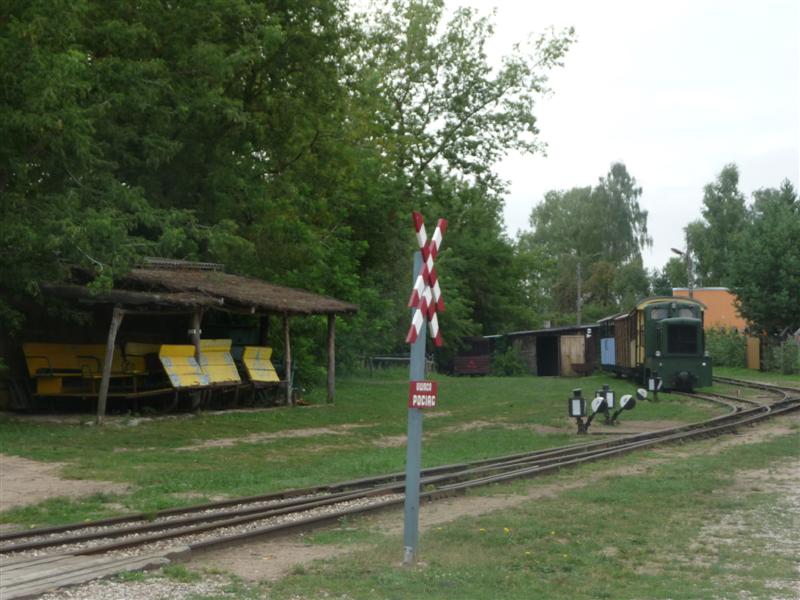 4 osoby ranne w wypadku Wigierskiej Kolejki Wąskotorowej