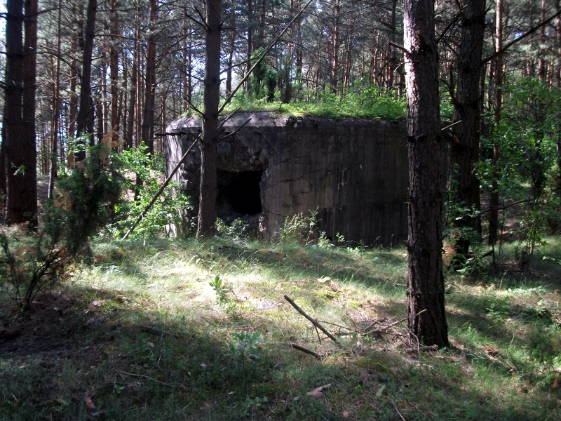 Linia Mołotowa - radzieckie fortyfikacje w naszym regionie.