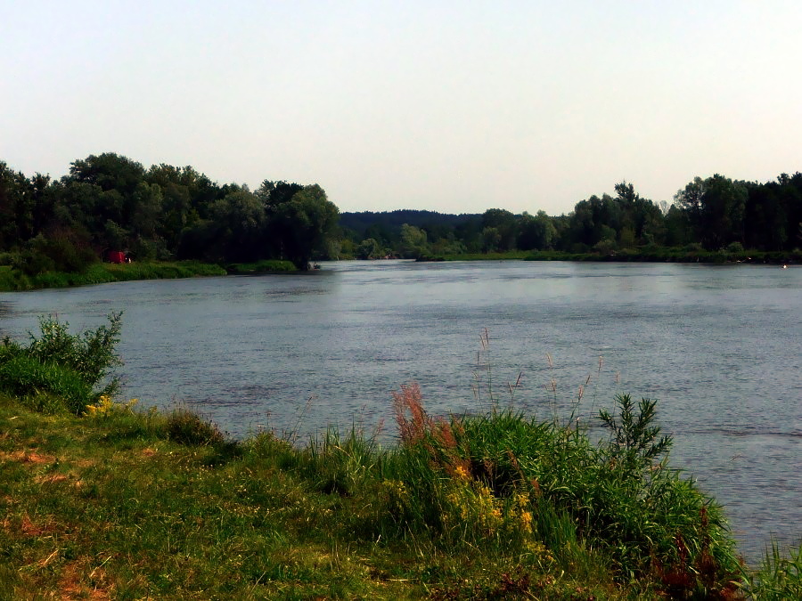 Niski stan wody w Bugu. Przeprawa promowa w Niemirowie zamknięta