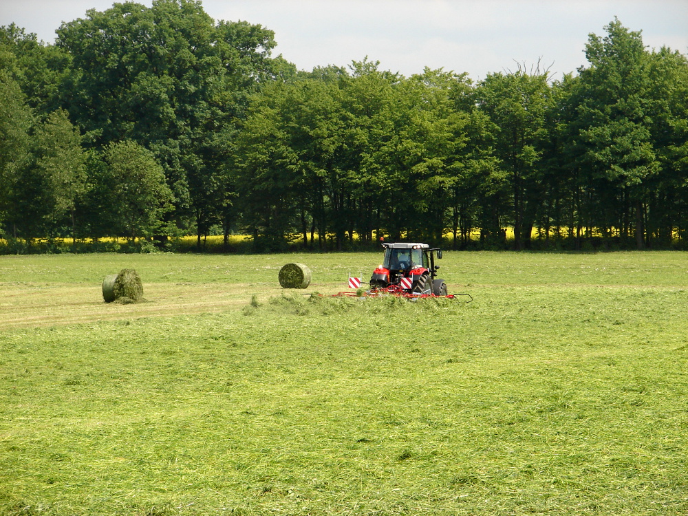 Kraj:  Prawie 9 miliardów euro z UE dla polskiej wsi w latach 2014-2020