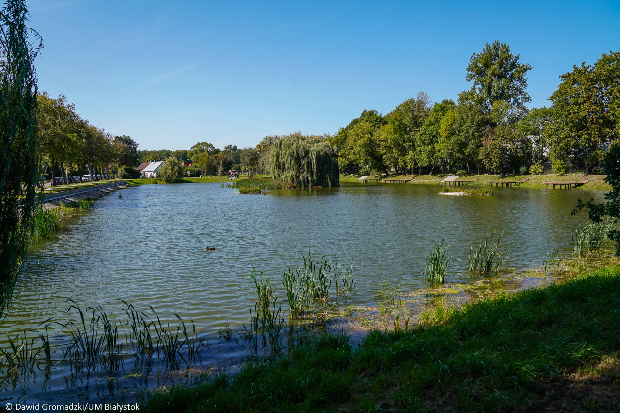 Zakończyła się modernizacja stawu przy ul. Mickiewicza w Białymstoku