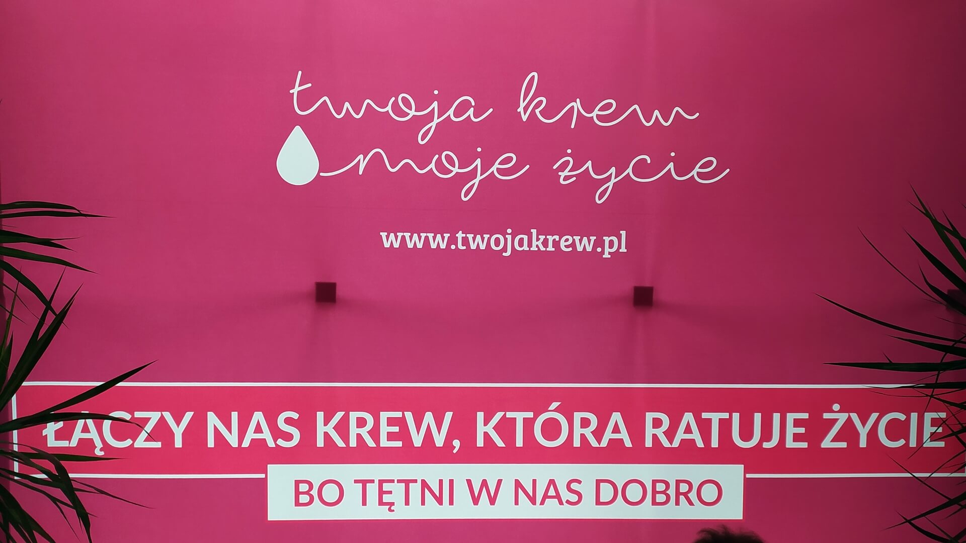 Kończą się zapasy niektórych grup krwi - pracownicy białostockiego centrum krwiodawstwa apelują o pomoc