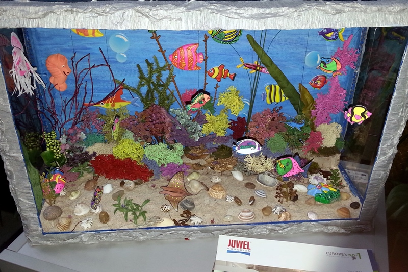 Białystok:  "Kolorowy Świat w Akwarium" - wystawa pokonkursowa