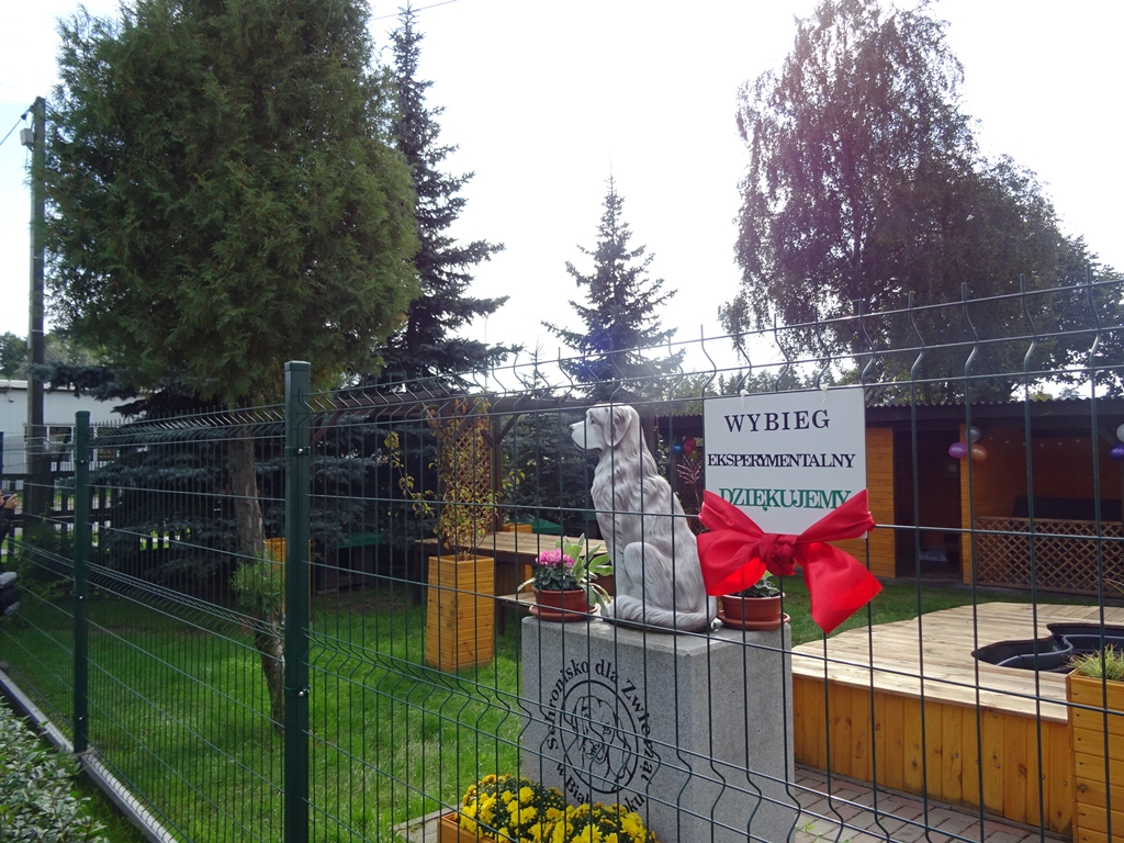 W Schronisku dla Zwierząt w Białymstoku powstał eksperymentalny wybieg