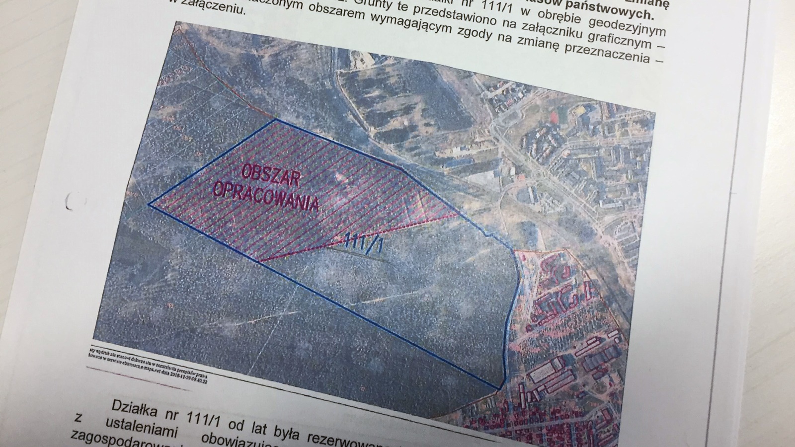 Wniosek ws. Lasu Turczyńskiego wysłany do Ministerstwa Środowiska - obrońcy nie poddają się