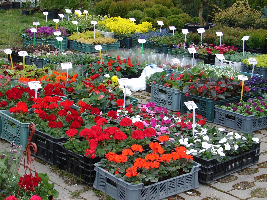 Targi Ogrodnicze i Pszczelarskie w Szepietowie