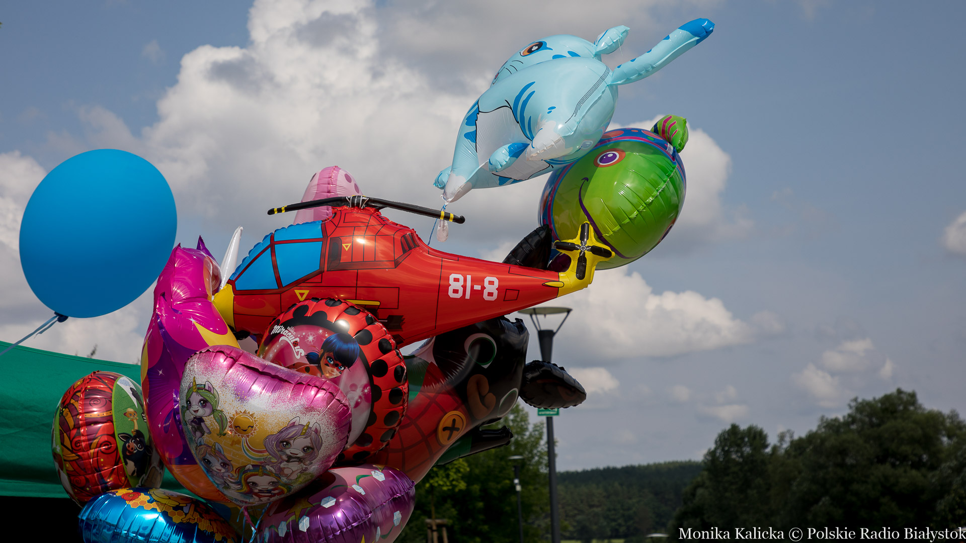 Piknik "Od juniora do seniora" w Parku Jakuba Wagi w Łomży