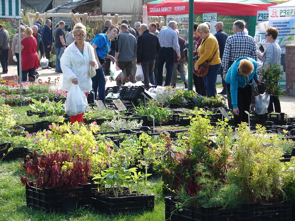 Tysiące roślin, wystawa królików rasowych, spotkania ze specjalistami - Targi Ogrodnicze w Szepietowie