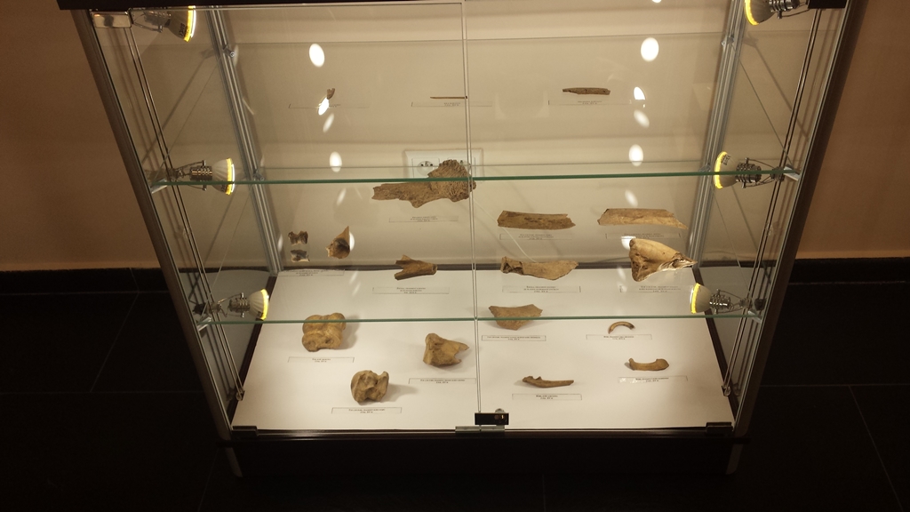 W Mielniku można podziwiać m.in. zabytkowe narzędzia i monety