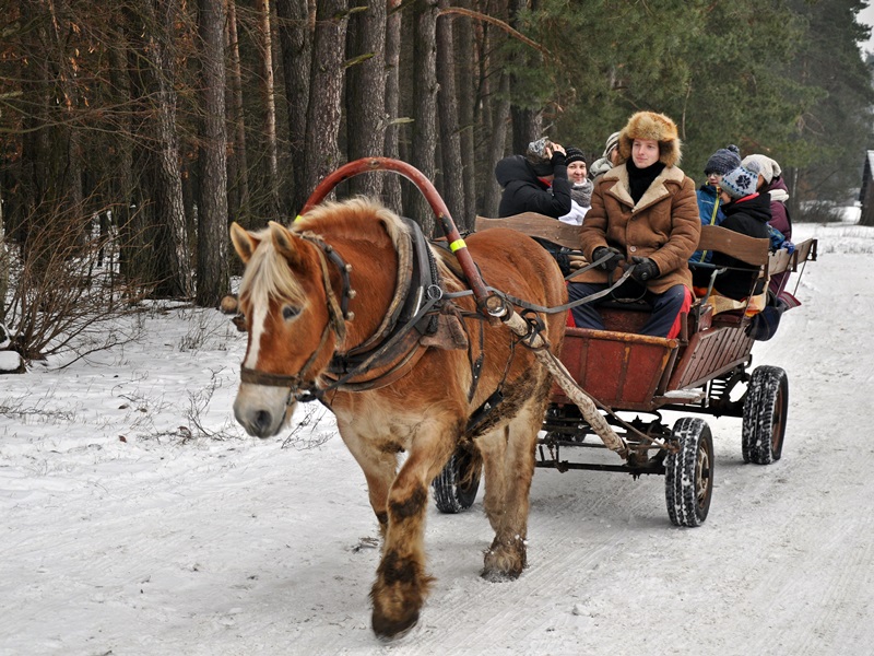 Pogoda sprzyja organizacji kuligów