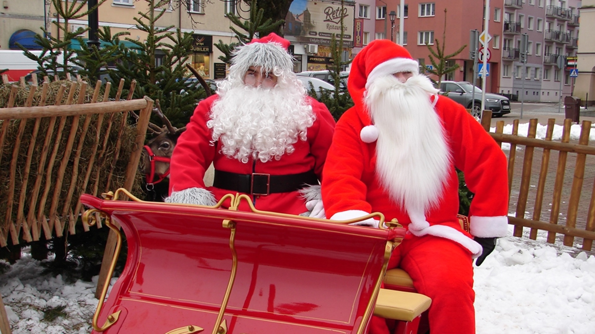 Mikołaj z reniferami na Starym Rynku w Łomży