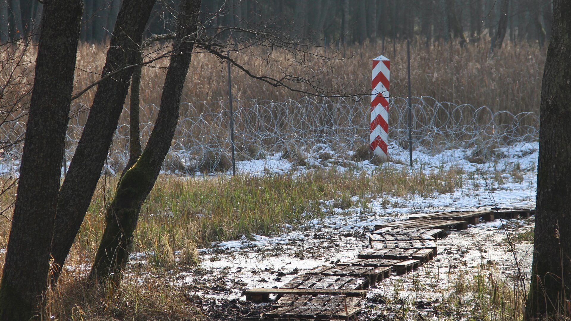 SG: 68 kolejnych prób nielegalnego przekroczenia polsko-białoruskiej granicy