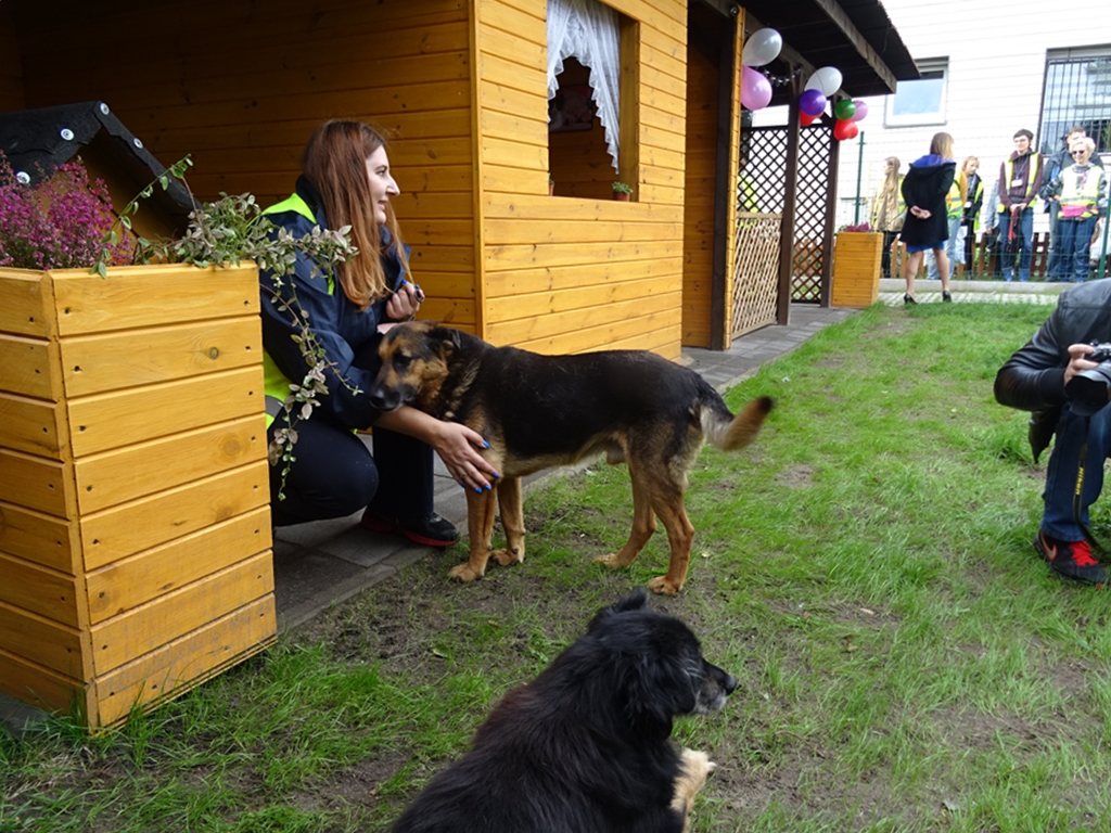 Niezbędna pomoc wolontariuszy w Schronisku dla Zwierząt w Białymstoku