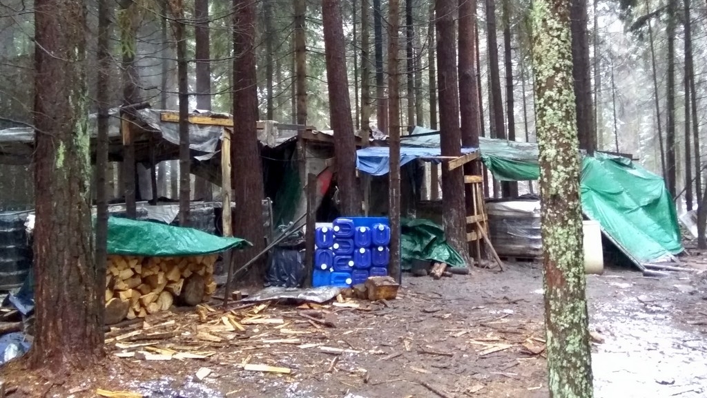 W okolicach Krynek funkcjonariusze KAS zlikwidowali nielegalną bimbrownię