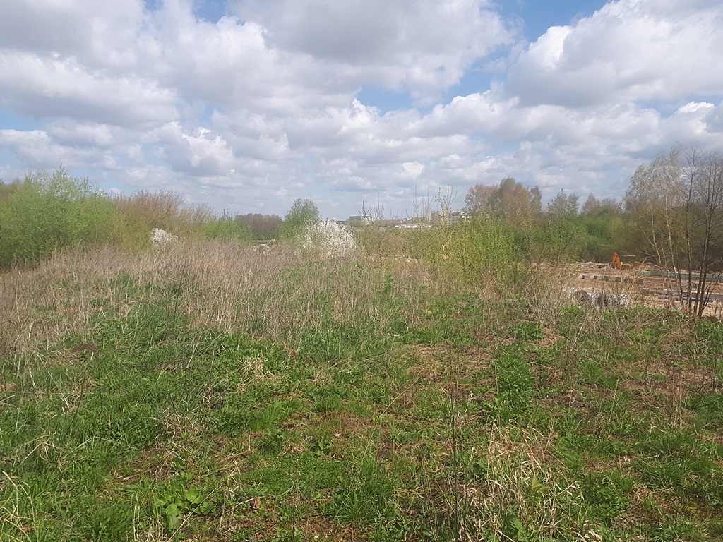 Radni PO chcą, aby w Białymstoku powstała pierwsza miejska górka saneczkowa