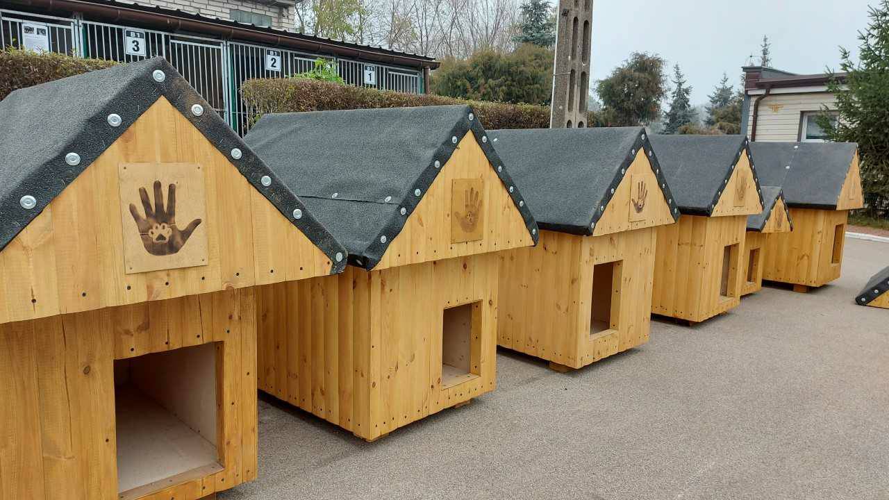 Osadzeni z białostockiego aresztu odnowili budy psiakom ze schroniska