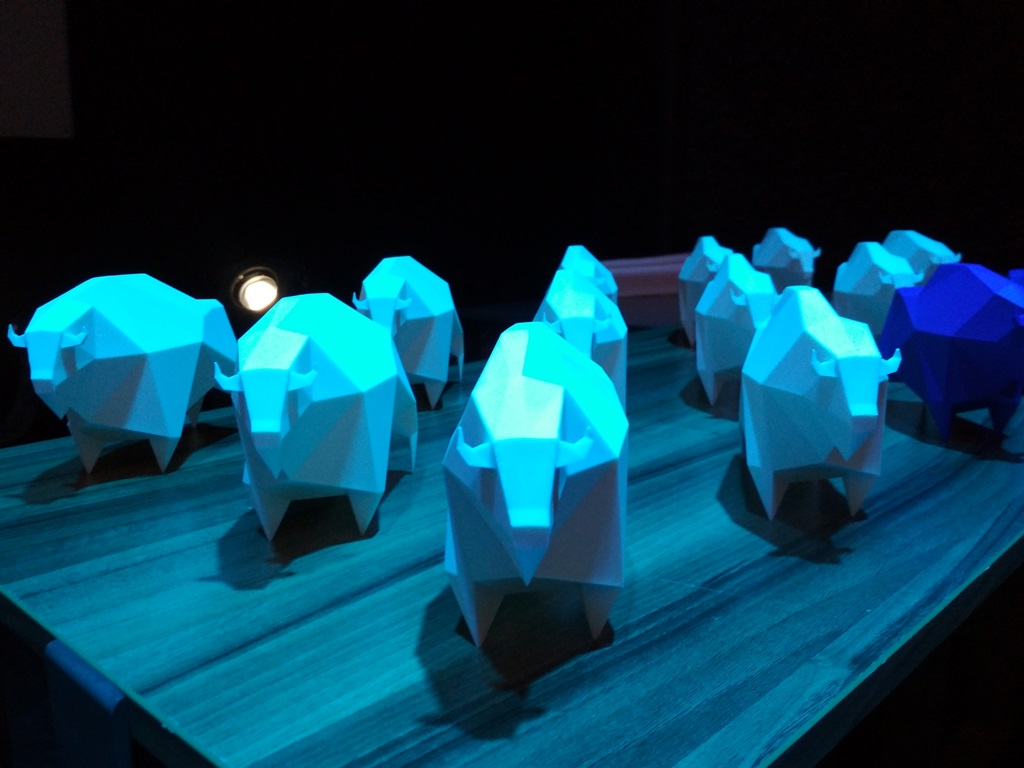 Grand Prix "Żubroffki" dla filmu Renaty Gąsiorowskiej