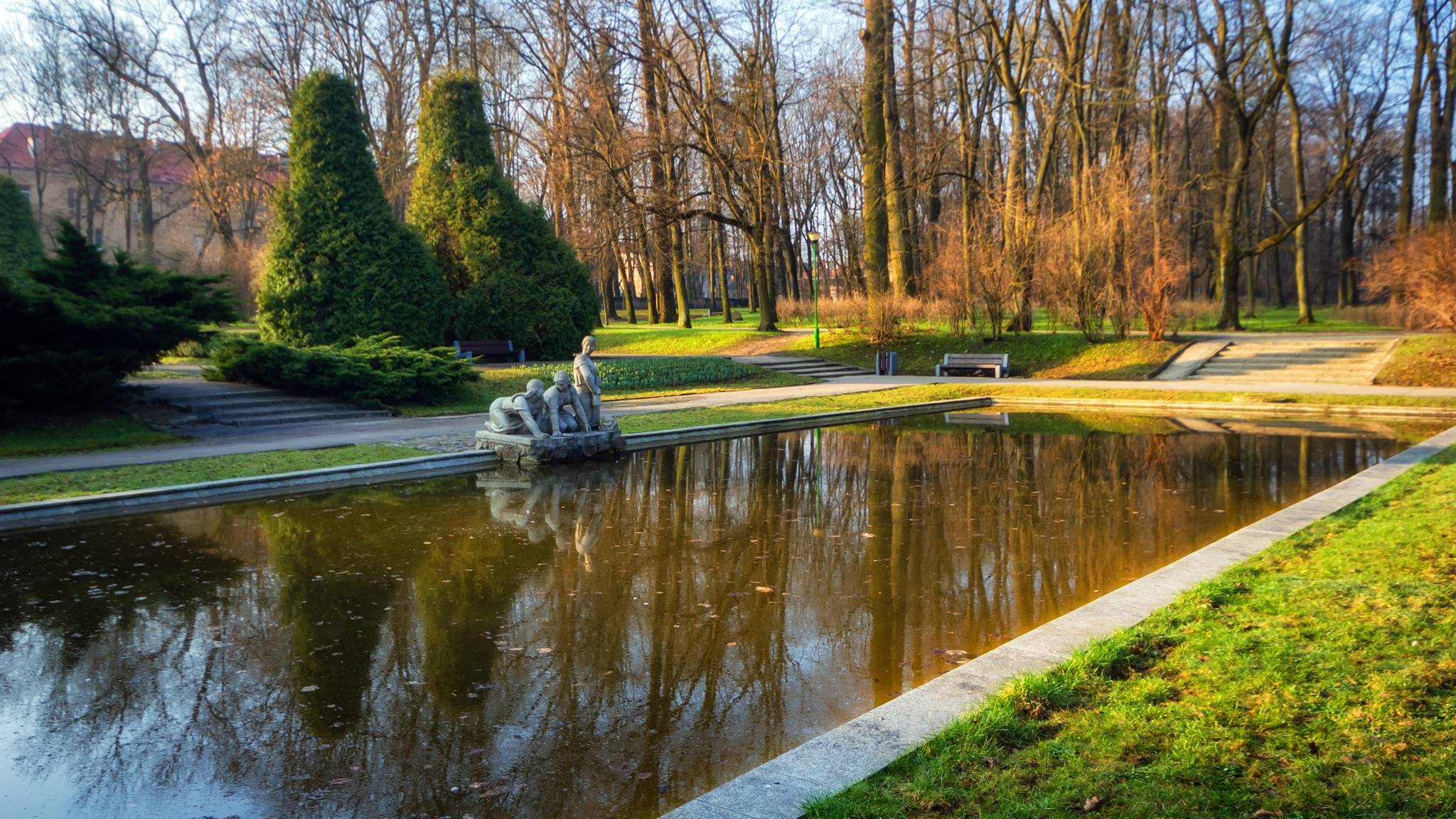 Stowarzyszenie Okolica rozpoczęło zbiórkę podpisów w sprawie ratowania 95-letnich tuj w parku Planty
