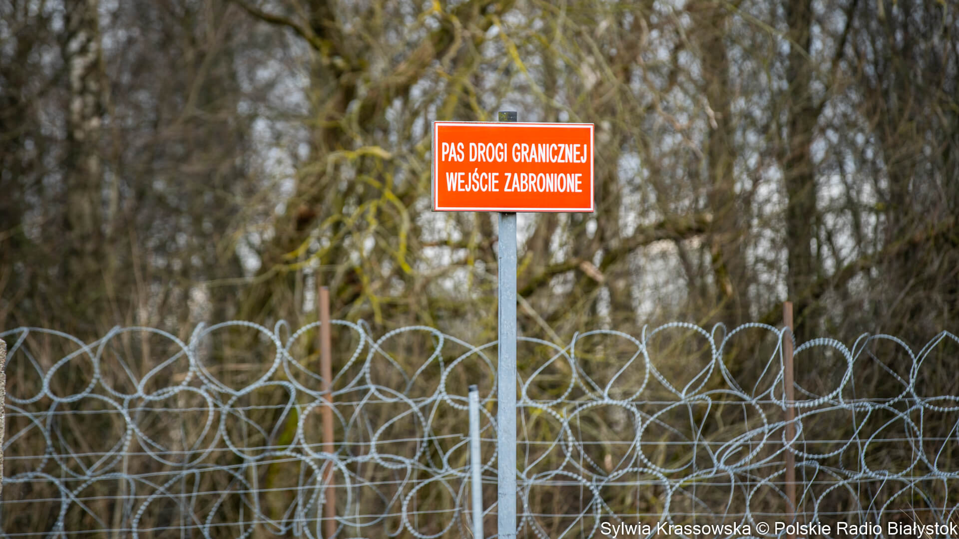 Kolejni cudzoziemcy próbowali dostać się nielegalnie do Polski przez polsko-białoruską granicę