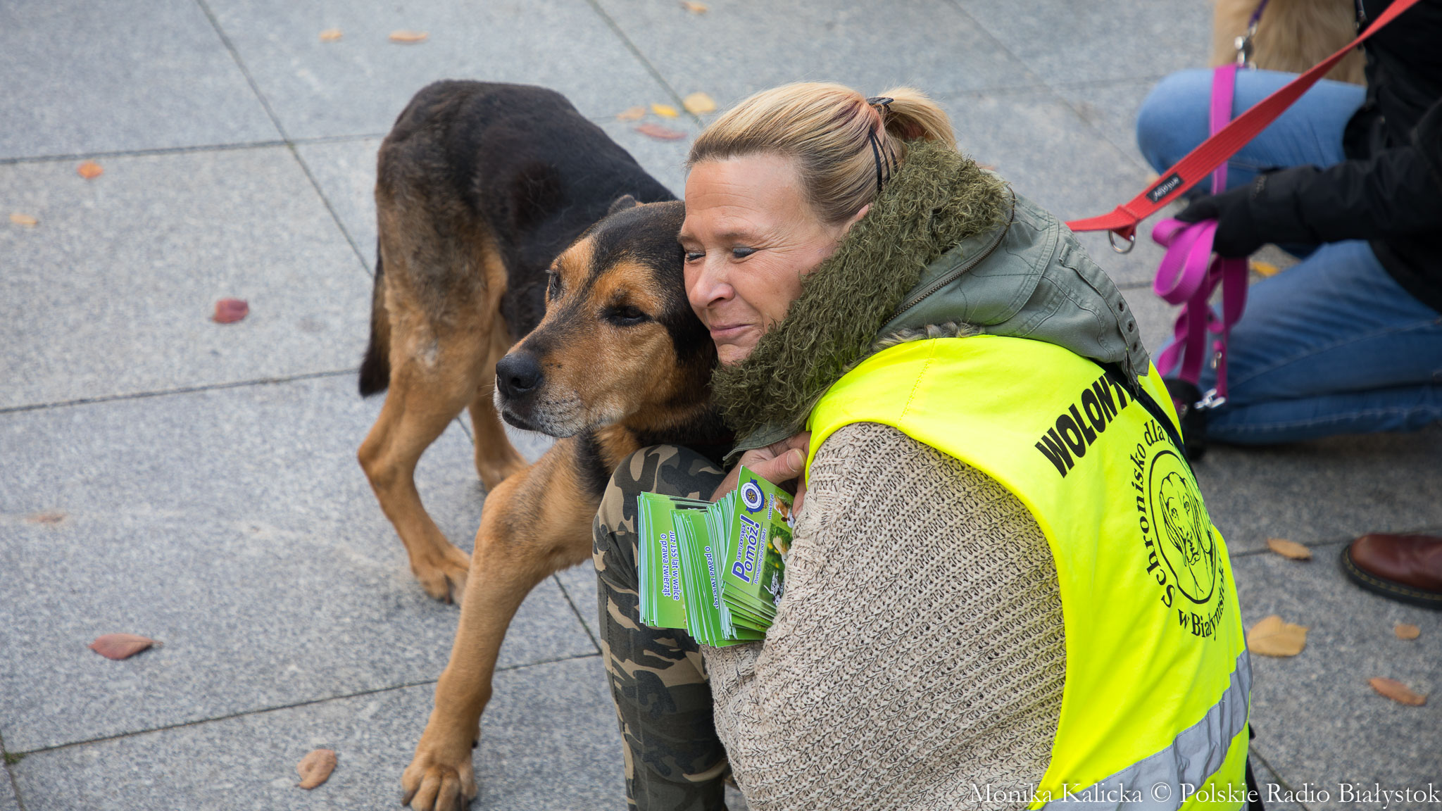 Najstarsze psy z białostockiego schroniska czekają na adopcję