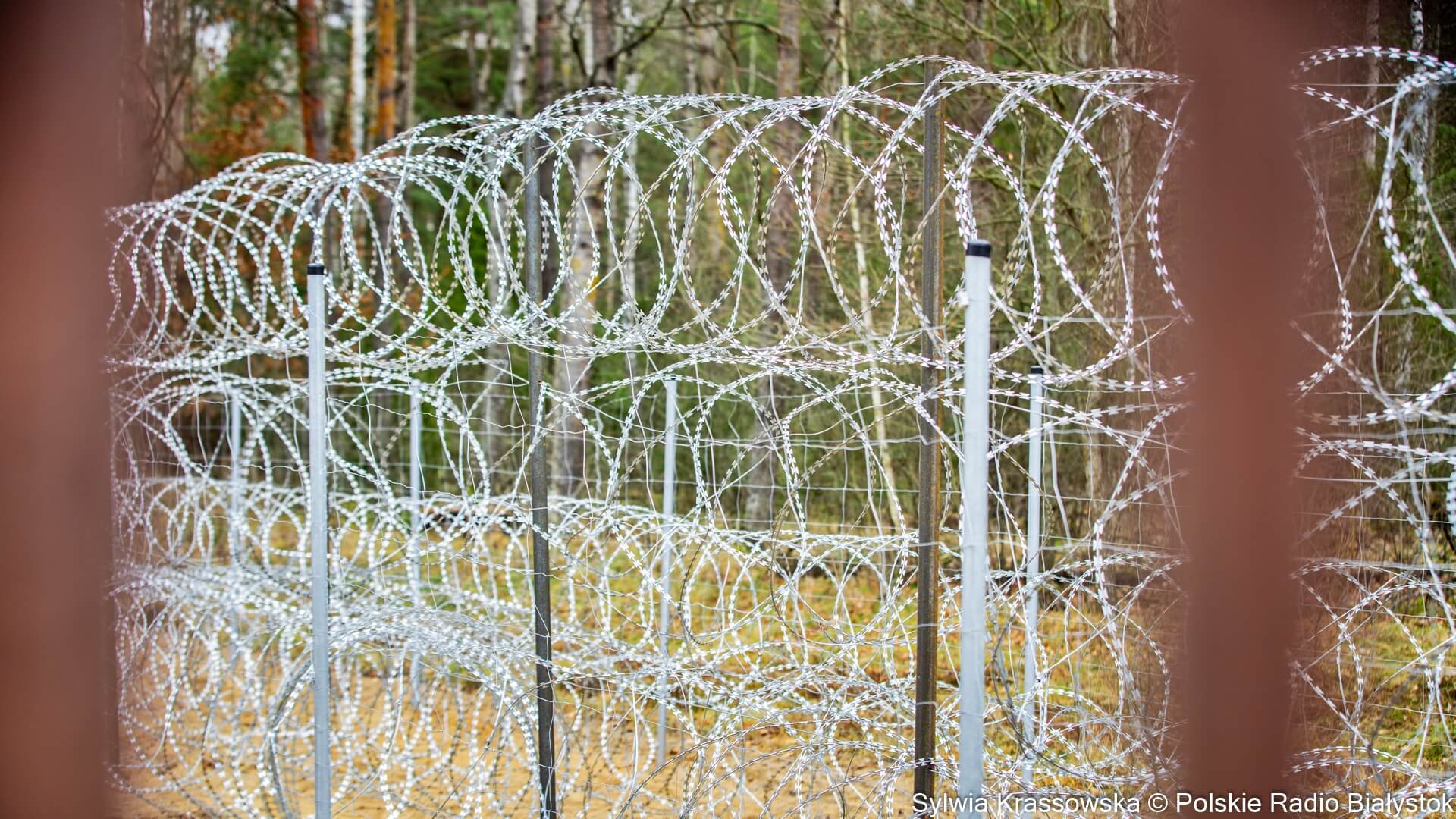 Ostatniej doby granicę polsko-białoruską próbowało nielegalnie przekroczyć 13 osób