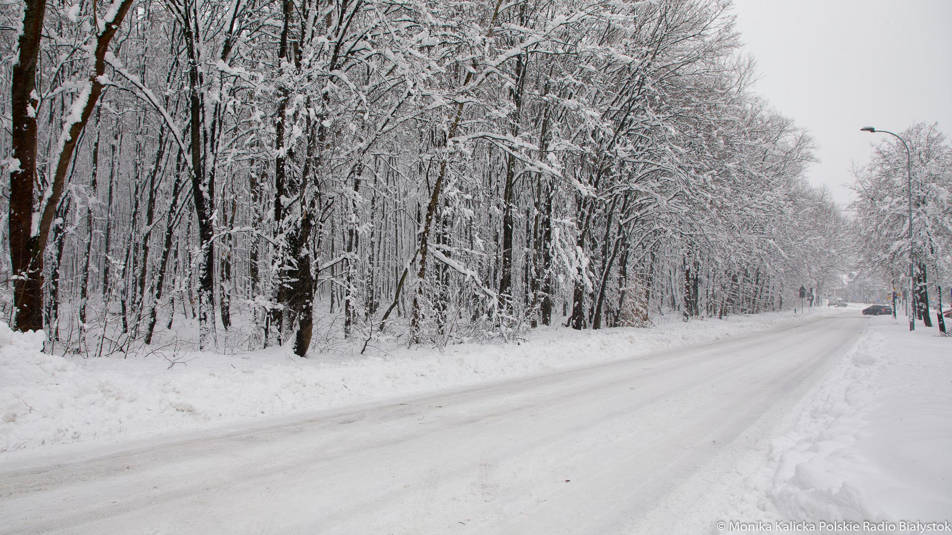 Znów duży mróz w Podlaskiem - synoptycy zapowiadają kolejne opady śniegu