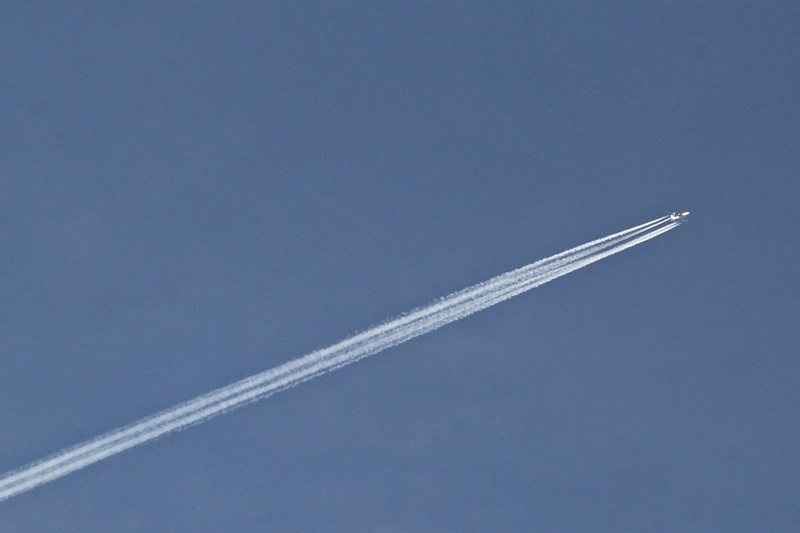 Studenci apelują do rówieśników o udział w referendum w sprawie lotniska