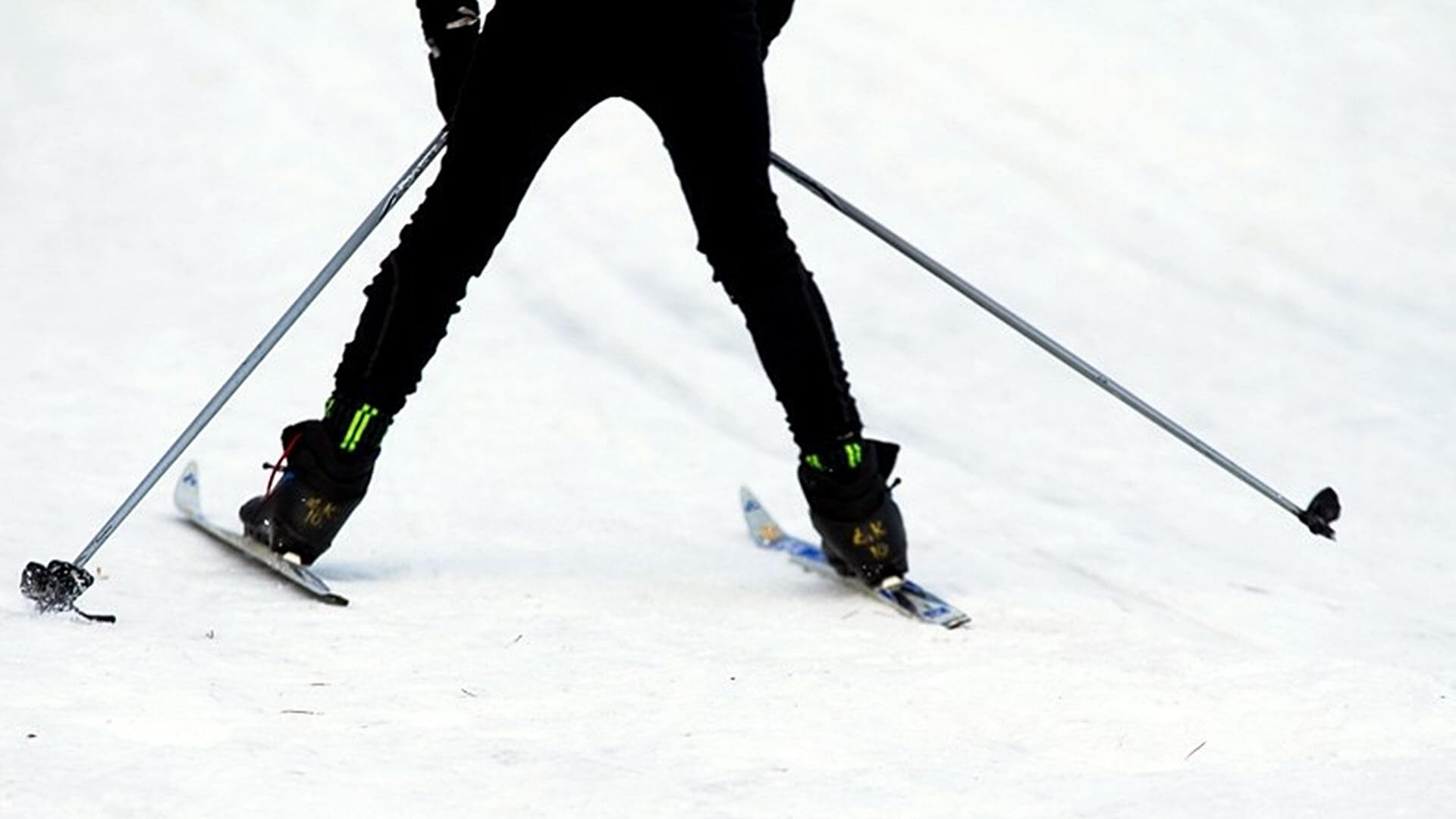 Parki narodowe - Biebrzański i Wigierski zachęcają do narciarstwa biegowego