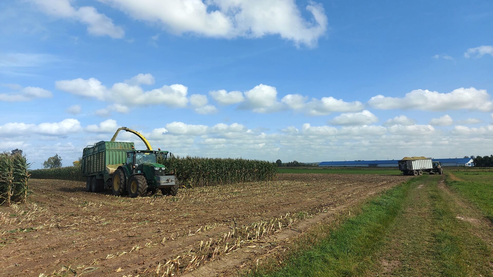 Inspektorzy przestrzegają przed wypadkami podczas zbiorów kukurydzy