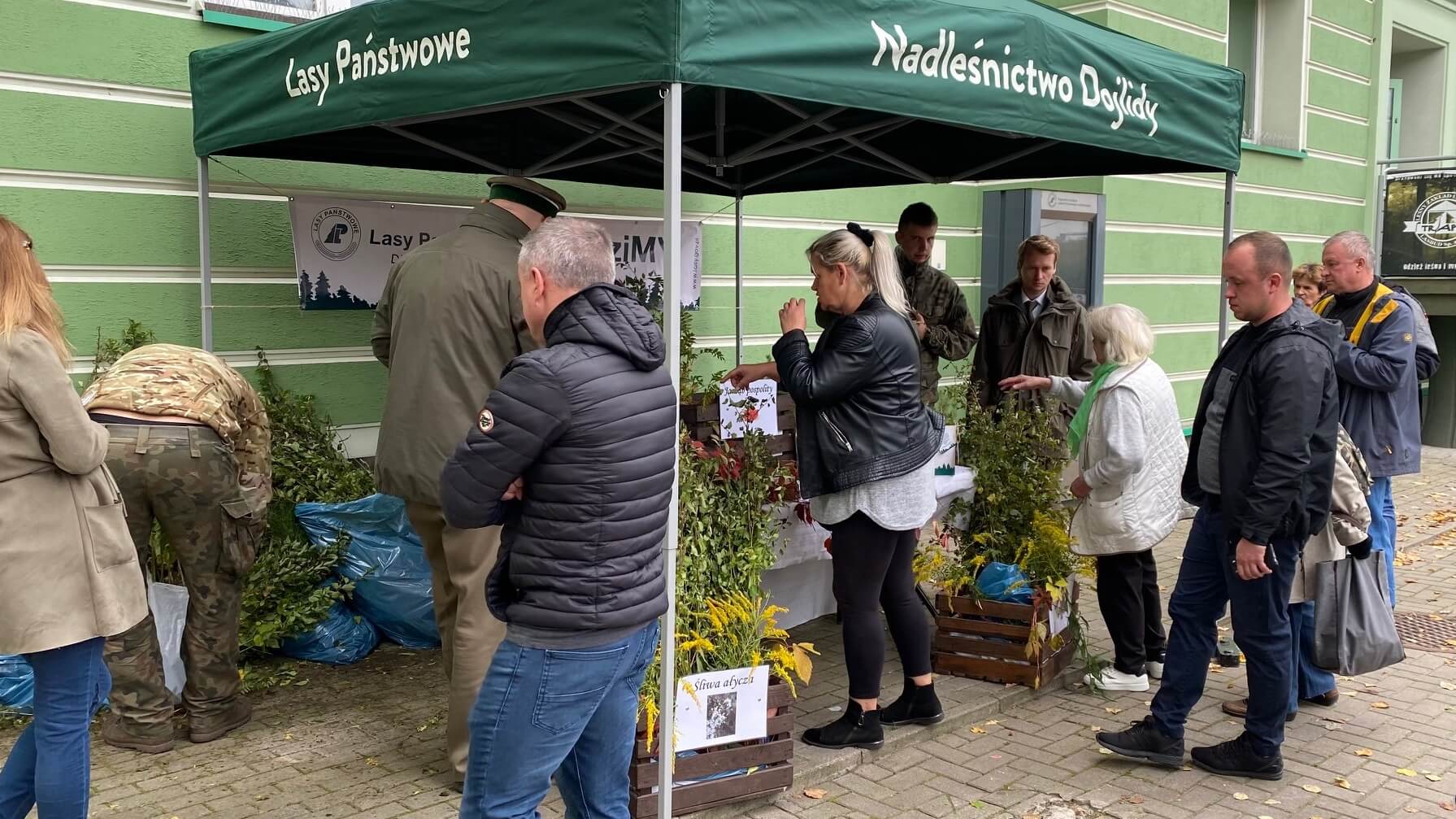 Nadleśnictwa rozdają sadzonki