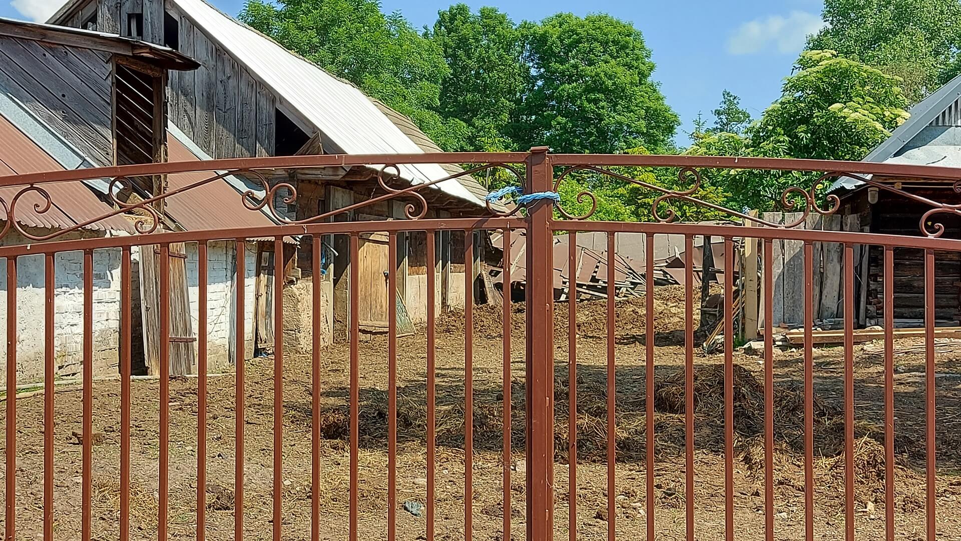 Rolnik stracił kilka krów, które przetrzymywał w skandalicznych warunkach