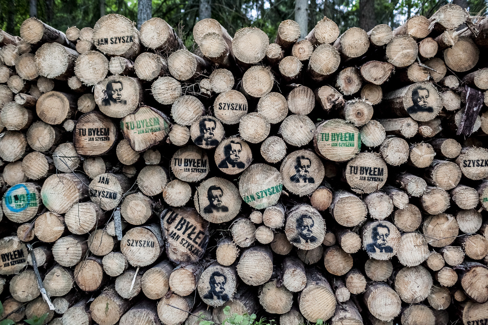 "Tu byłem" - ekolodzy umieścili wizerunek ministra Szyszki na ściętych drzewach