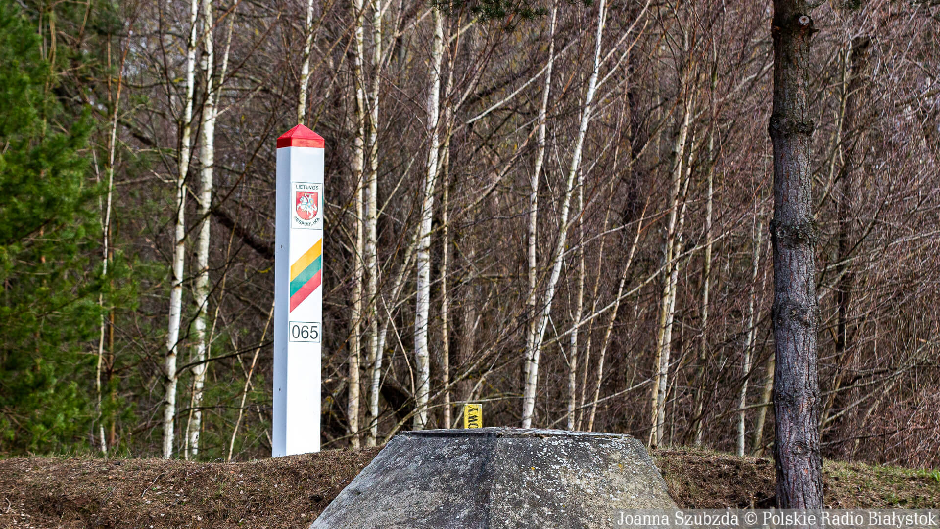 Białoruscy żołnierze nielegalnie przekroczyli granicę z Litwą, wypychając imigrantów [wideo]
