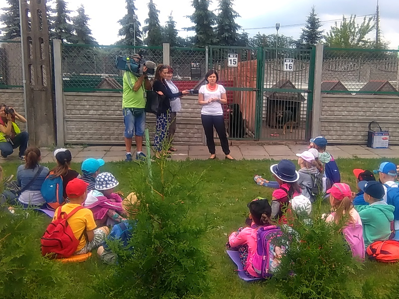 "Czytamy psom, żeby nie czuły się samotne". Akcja w schronisku