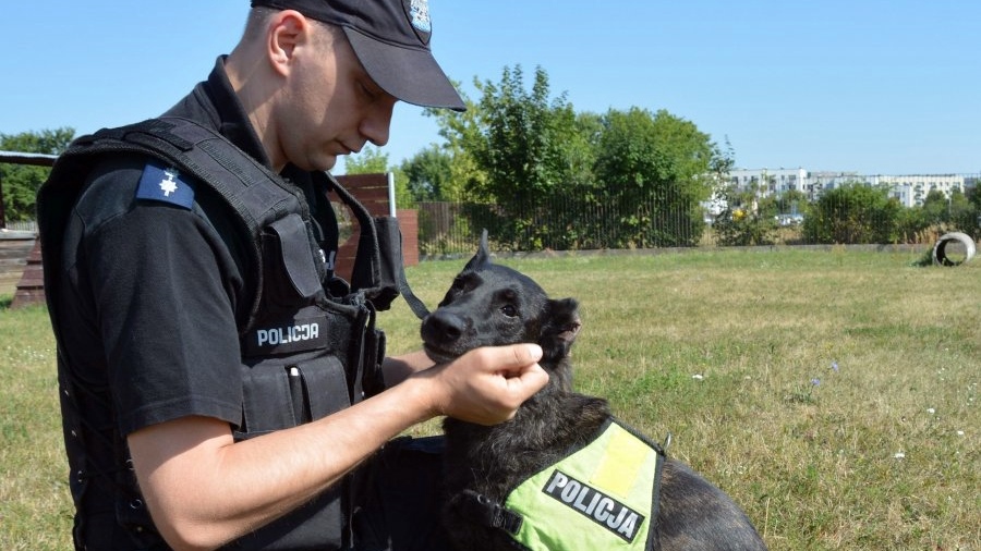 Policjanci z psem tropiącym odnaleźli zaginioną 82-latkę
