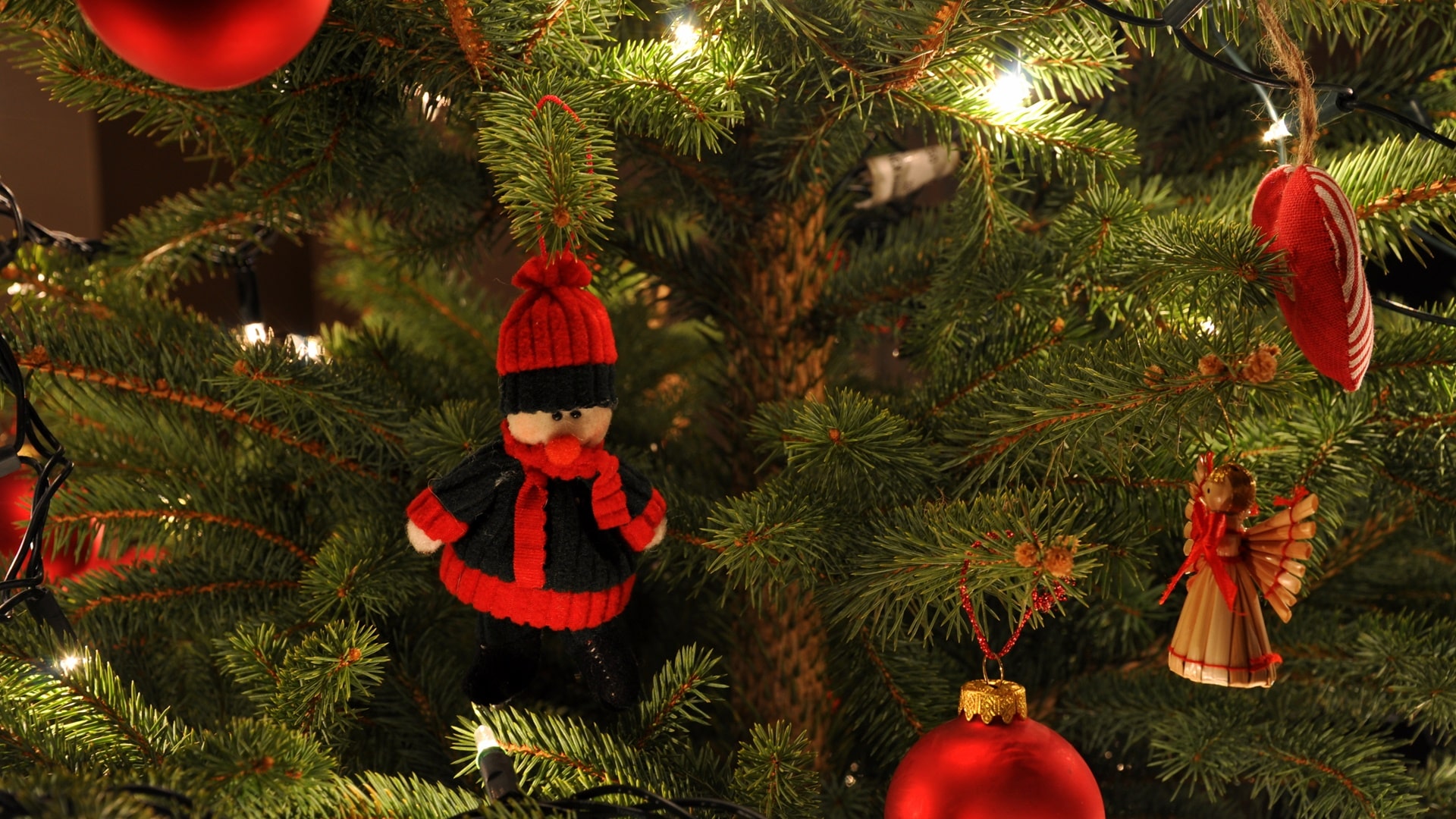 Święta Bożego Narodzenia coraz bliżej. Czy w domach stoją już choinki?