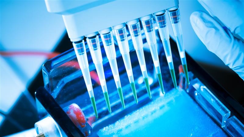 Badania DNA potwierdziły tożsamość zaginionej 23-latki spod Łomży