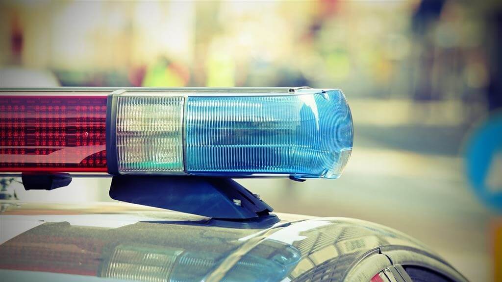 Wypadek na trasie Sokoły - Białystok. Samochód uderzył w łosia