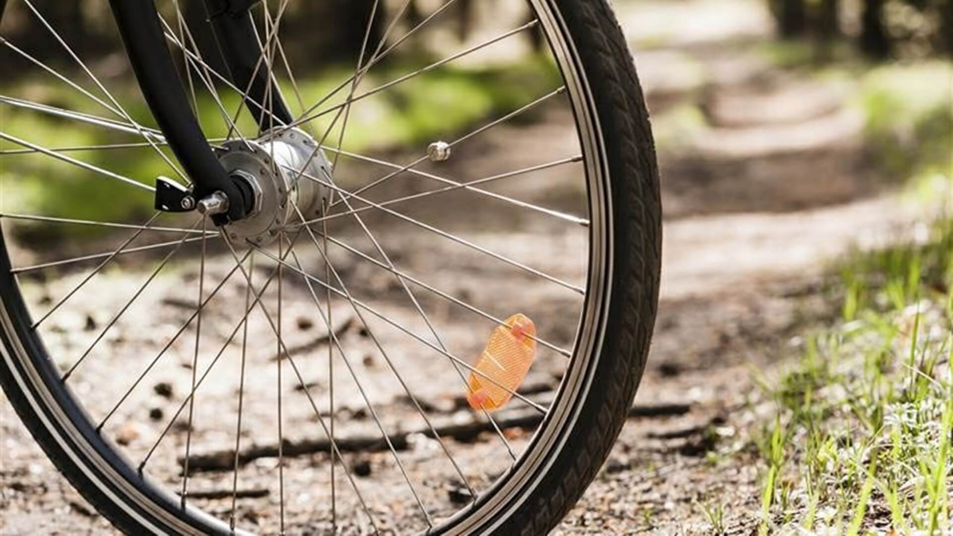 Władze Hajnówki chcą, by w powiecie powstały stacje do wypożyczania rowerów elektrycznych