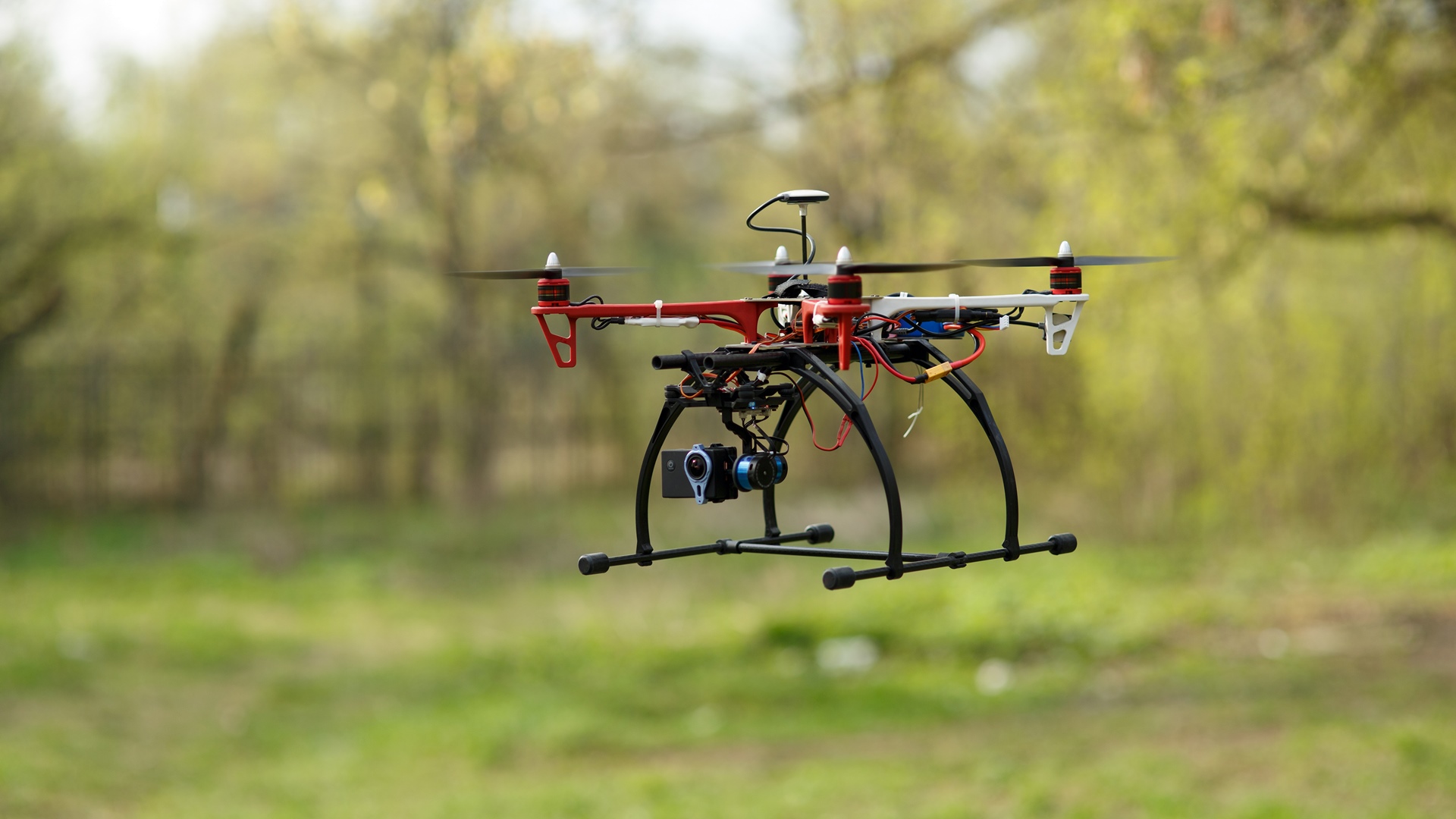 Przyrodnicy apelują do użytkowników dronów, by ci nie straszyli zwierząt