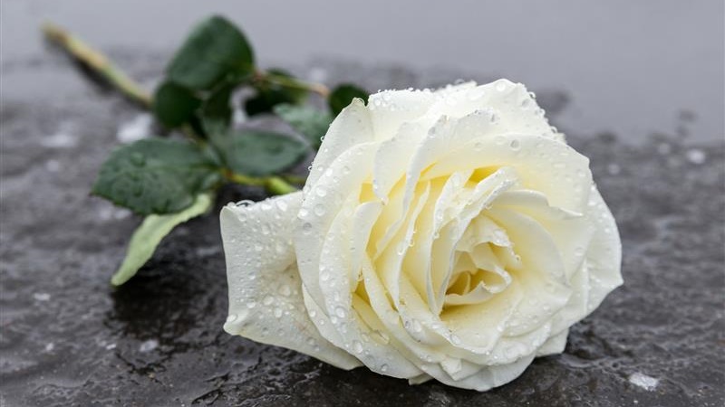 Zmarł pochodzący z Białegostoku pisarz Dariusz Milewski