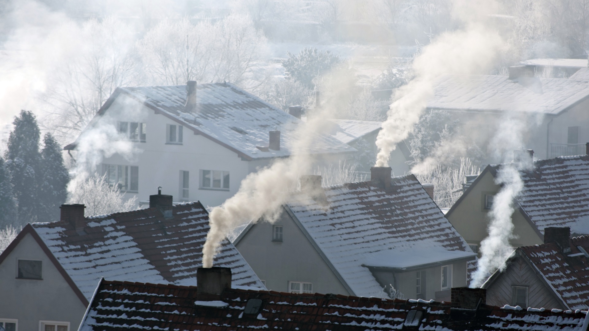 W Podlaskiem potrzebna jest uchwała antysmogowa - przekonują działacze Polskiego Alarmu Smogowego
