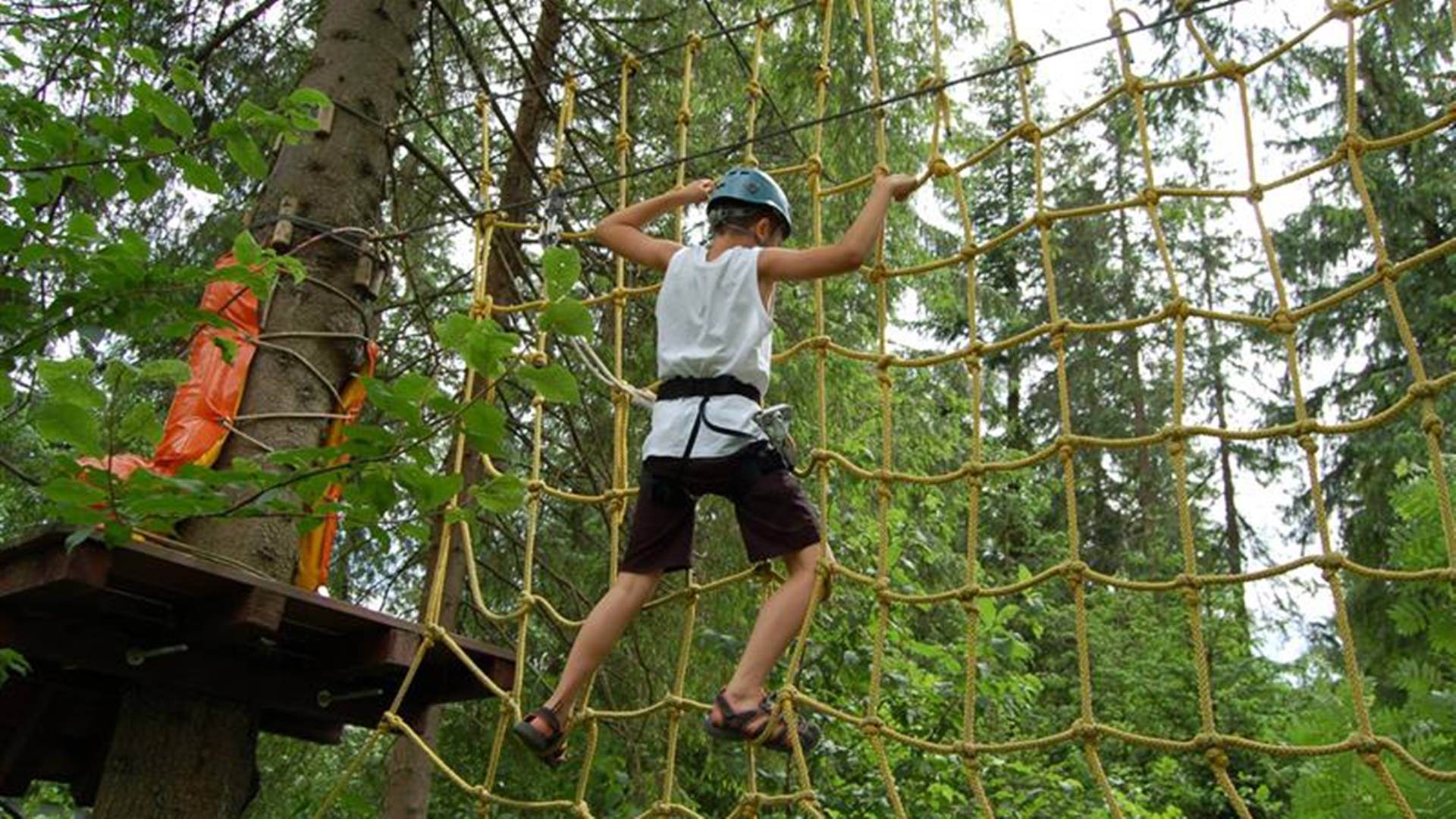 W parku linowym w Wólce nad Bugiem będą nowe atrakcje
