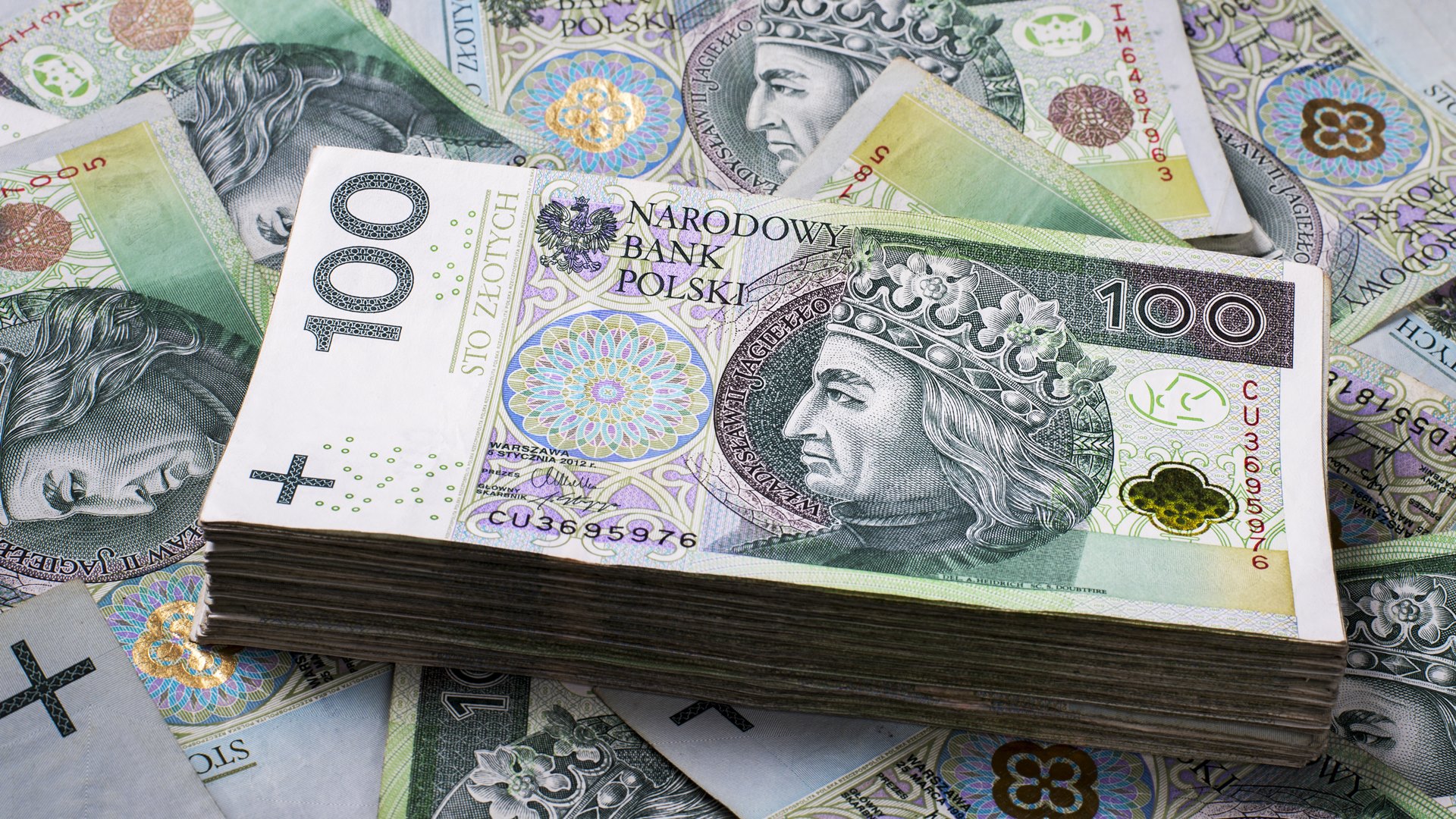 Przedsiębiorcy z Porozumienia Polskich Przedsiębiorców Zjednoczony Wschód apelują o wsparcie