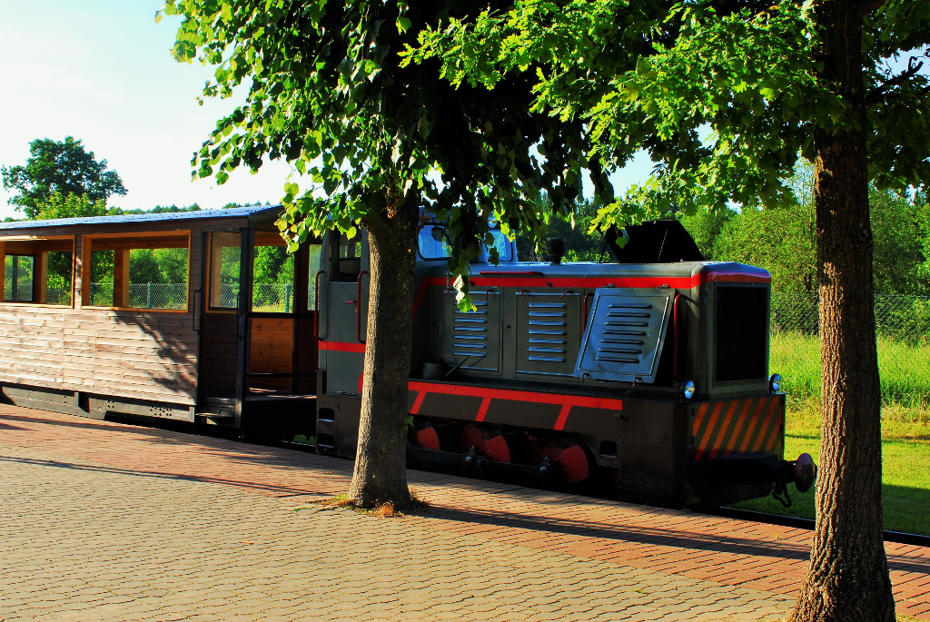 Można przejechać się przez Puszczę Białowieską - wąskotorowa kolejka w Hajnówce rozpoczyna sezon