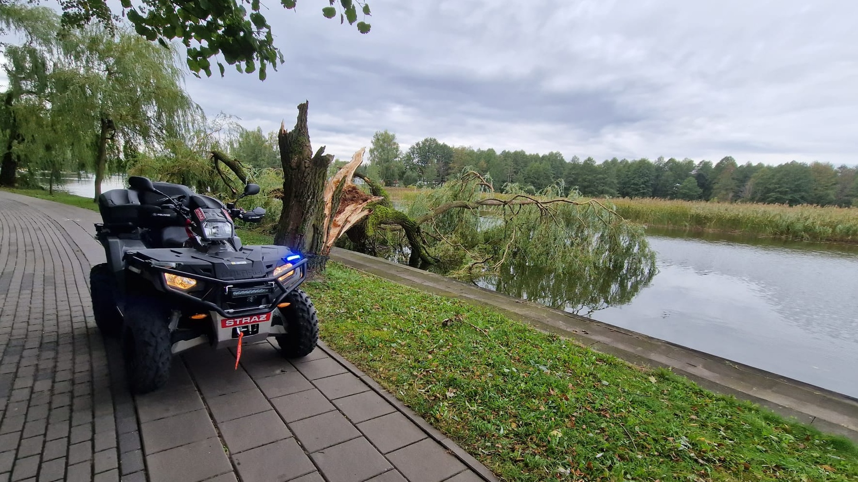 Wiele drzew połamały w Augustowie ubiegłotygodniowe wichury